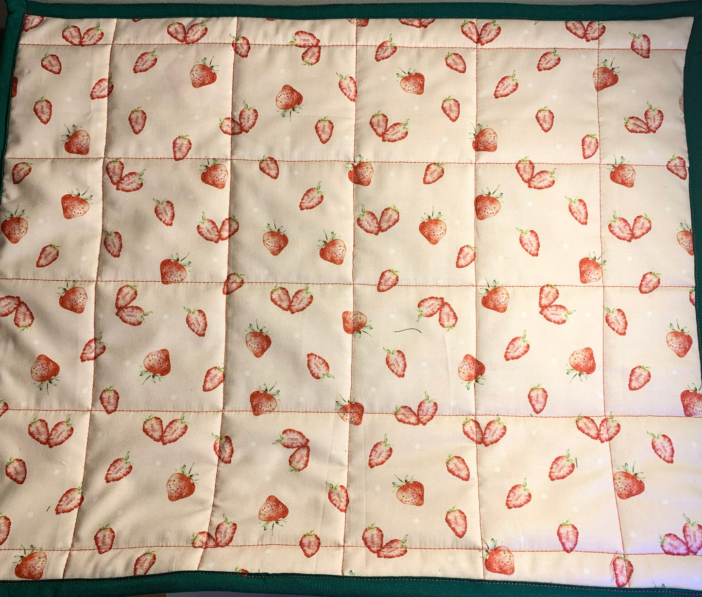 Quilted Oversized Hot Pads/Trivets - LW Designs