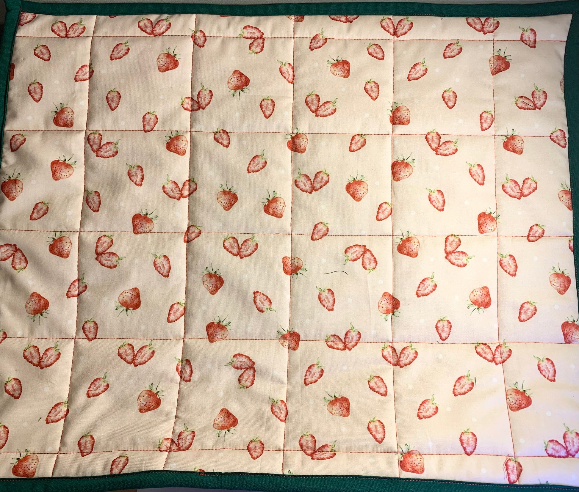 Quilted Oversized Hot Pads/Trivets - LW Designs